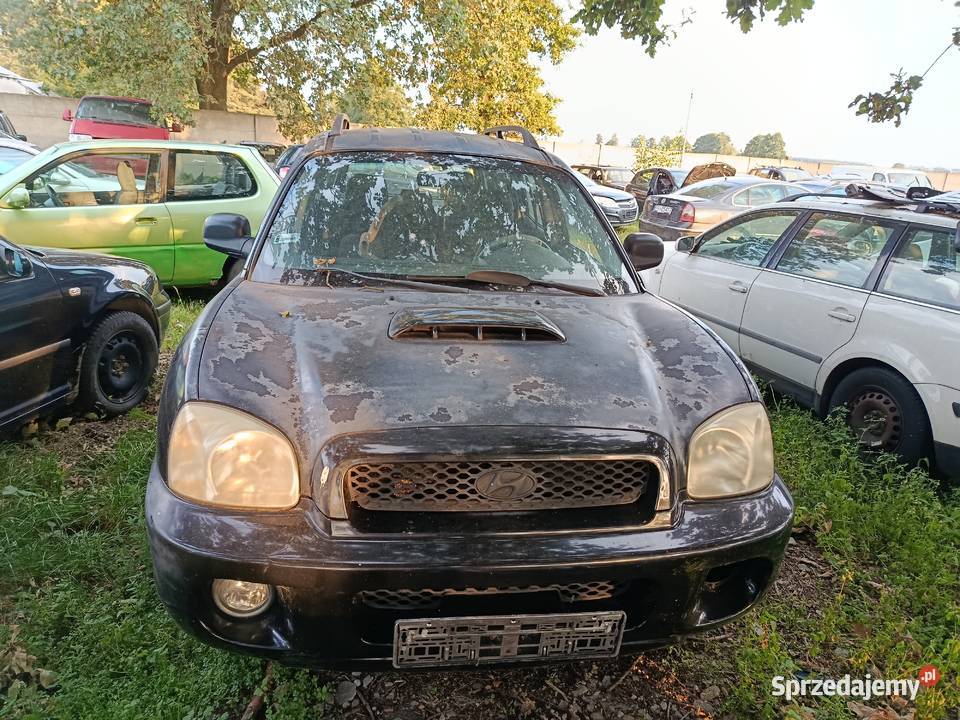 Hyundai Santa Fe 20 CRDi 83 kW 2002 r dawca wielkopolskie Szklarka Myślniewska