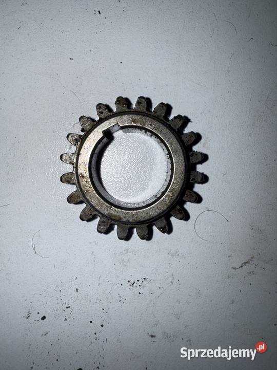 Koło zębate tryb Sym Orbit II 50 4T wielkopolskie Ostrów Wielkopolski