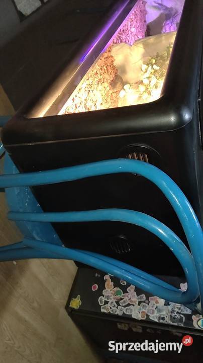 Duże wiszące terrarium śląskie