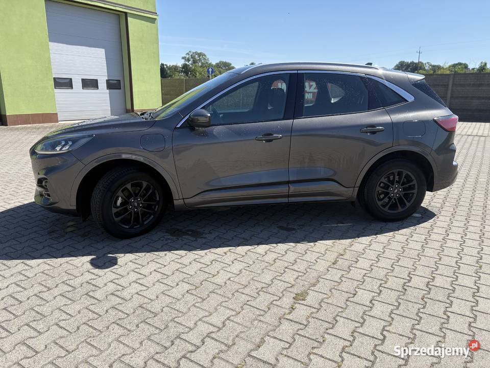 Ford Kuga 25 plug in hybrid Poniec
