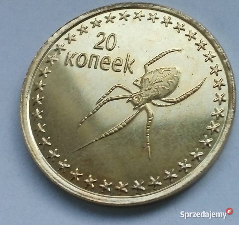 CZECZENIA20 KOPIEJEK2013 r PAJĄKŁADNA Legionowo