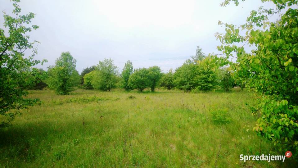 Sprzedam działkę budowlaną o pow 1093 m2 z Sprzedaż