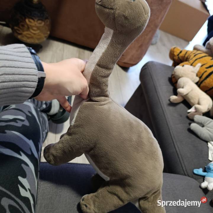 dinozaur gustaw Dino sasha 45 wielkopolskie Poznań