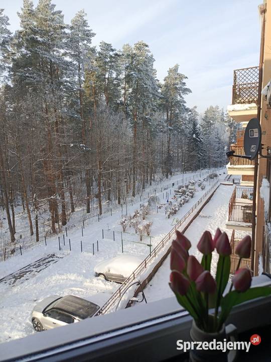 Klimatyczne mieszkanie 52 m2 z widokiem na las Olsztyn sprzedam