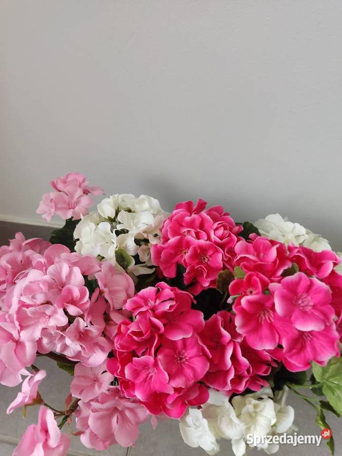 Bukiety pelargoni sztuczne zywe Dębica