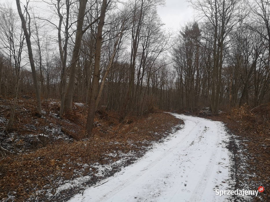 Działka 4265 w Pręgowie Górnym Pręgowo Dolne sprzedam