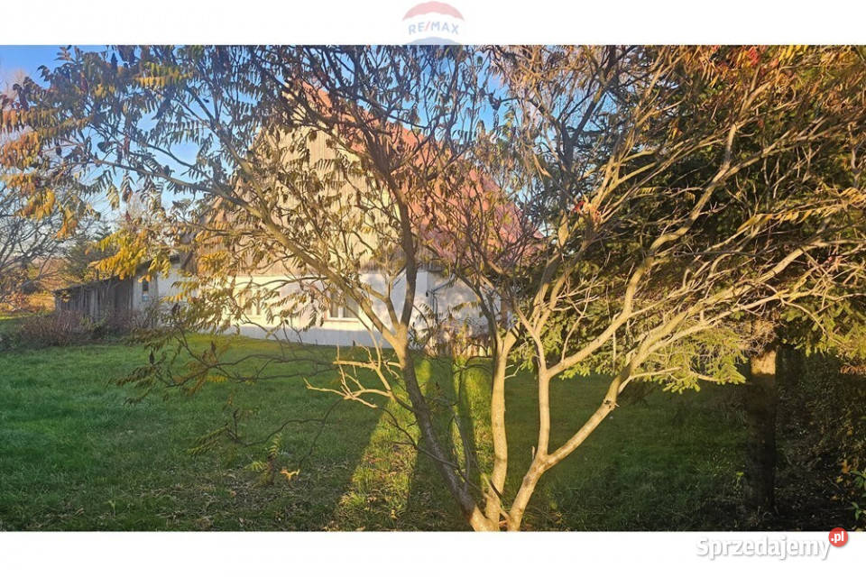 Krzeszów działka inwestycyjna 2486 m2 0m