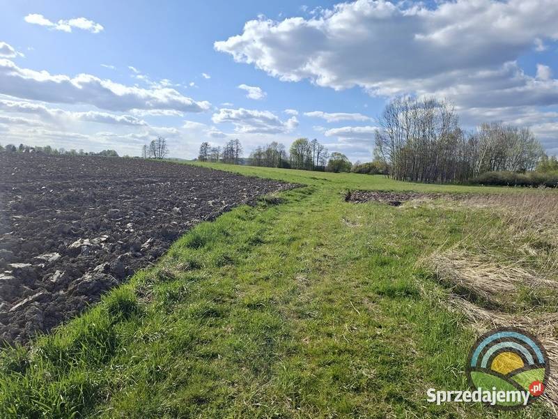 Facimiech gm Skawina działka rolna 3100 m2 15zł/m2