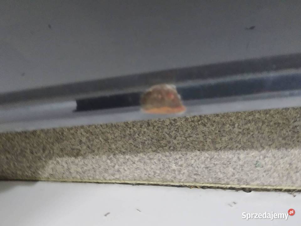 ZDERZAK TYŁ LI7F BEZ PDC VW Volkswagen Polo VI Rok produkcji 2017 świętokrzyskie