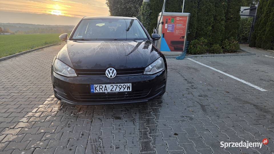 Volkswagen Golf 7 2015r BlueMotion Salon 1 małopolskie Kraków sprzedam