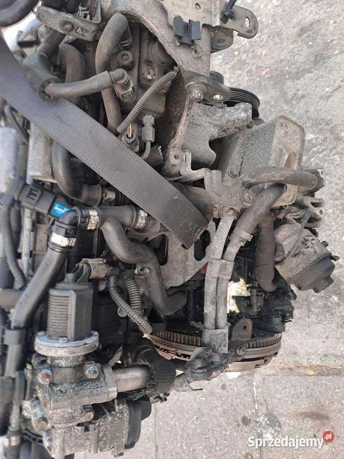 Alfa Romeo Fiat Croma 19 MJet 150 silnik osobowe Jastrzębie-Zdrój