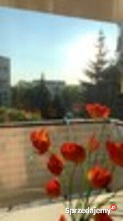 WYNAJMĘ oś Oświecenia 2pokojowe 2500 małopolskie Kraków