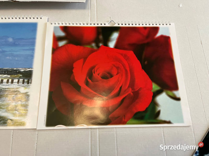 Fototapeta flizelinowe czerwone róże prezent Bielsko-Biała