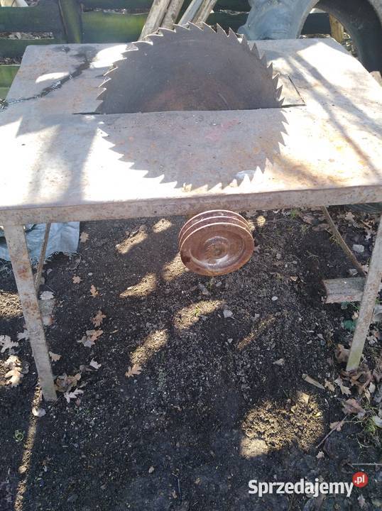 Cyrkularka sprzedam