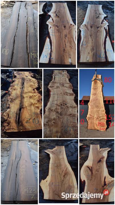 Drewno ozdobne orzech włoski topola wiąz Plastry Trześń