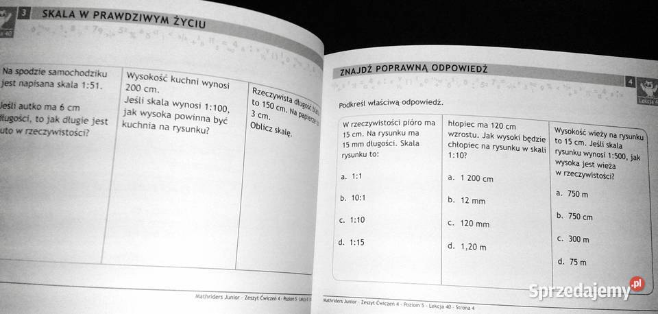MathRider Poziom 5 Zeszyt zadań domowych 4 Anita lubelskie Chełm
