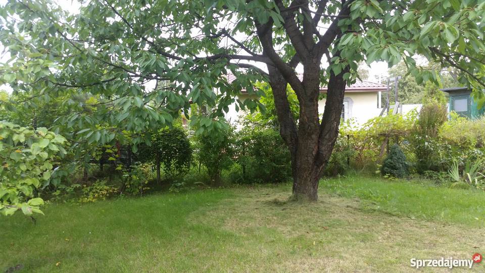 Sprzedam działkę ROD Warszawa Bemowo 300 m2 300m2