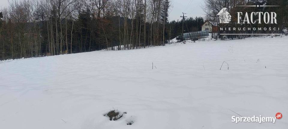 Biała Niżna działka budowlanorolnoleśna