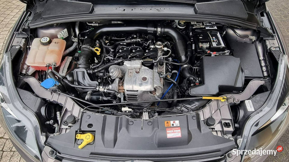 Ford Focus TITANIUM Wzorowy Stan Kamera Kombi mazowieckie Płońsk