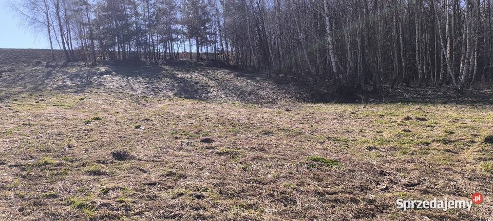 Działka rekreacyjnaw zaciszu 41arów Błażowa