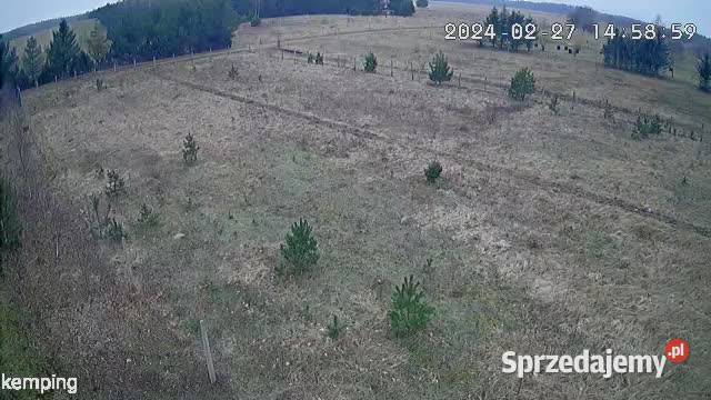 Duża działka woda prąd starzno woda pomorskie
