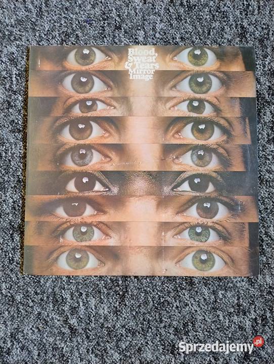 Płyty winylowe rozne gatunki Gdynia