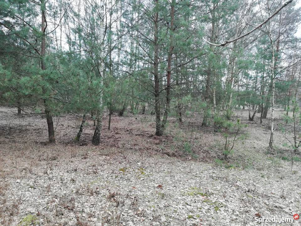 Działka 6600 m2 Józefów Widawski Grunty i działki