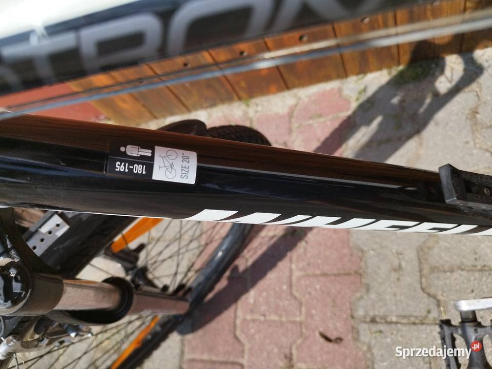 Sprzedam rower wheeler Protron 520 Zbąszyń