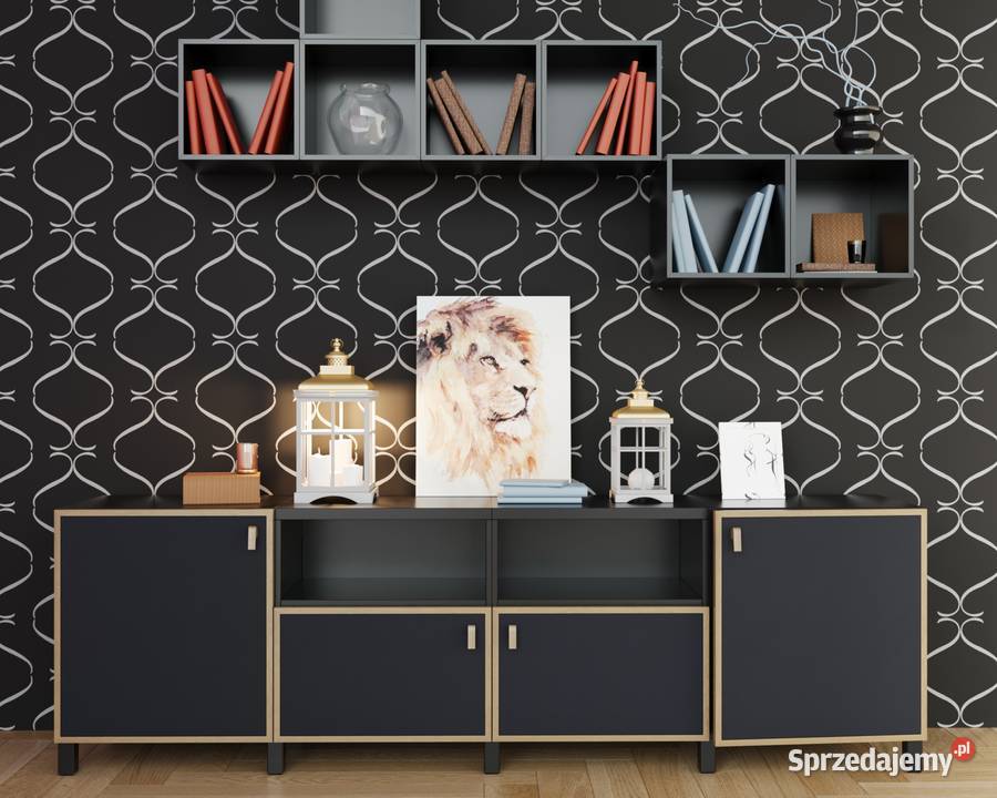 Fronty meblowe do Ikea Besta podlaskie