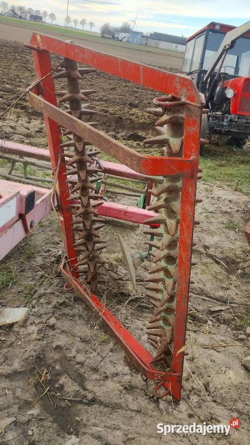 Kolczatka Wały Sierzchowo