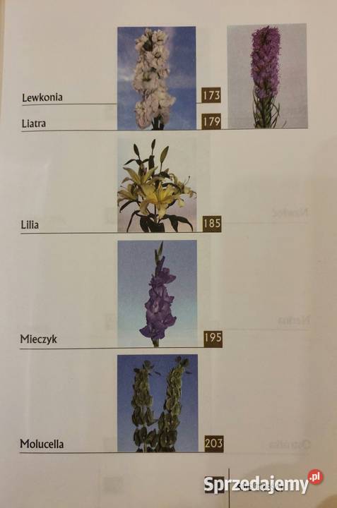 Kwiaty cięte uprawiane pod osłonami Marek Jerzy Wrocław