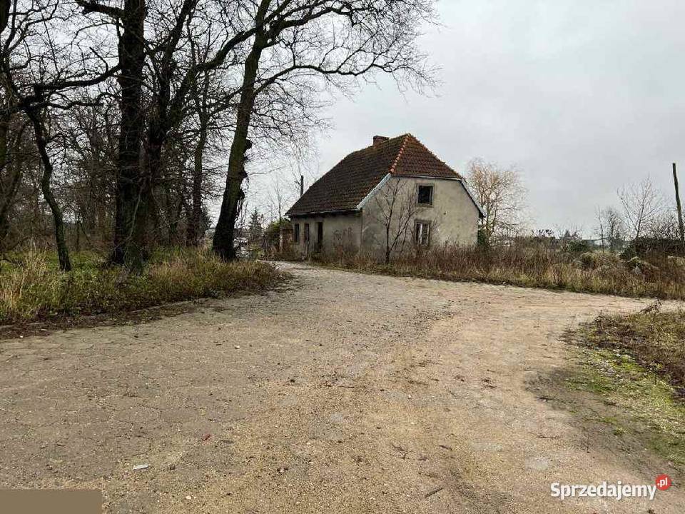 Zespół Pałacowo Parkowy Sprzedaż Morsk