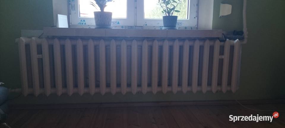 Grzejniki żeliwne Grzejniki