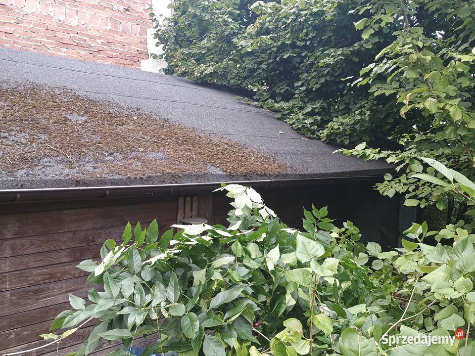 OKAZJA drewniany domek ogrodzenie 150 m 2 IBC Częstochowa
