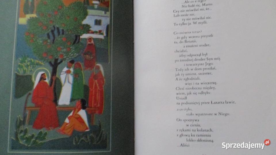 Matka i Syn E Szelburg Zarembina płyta łódzkie