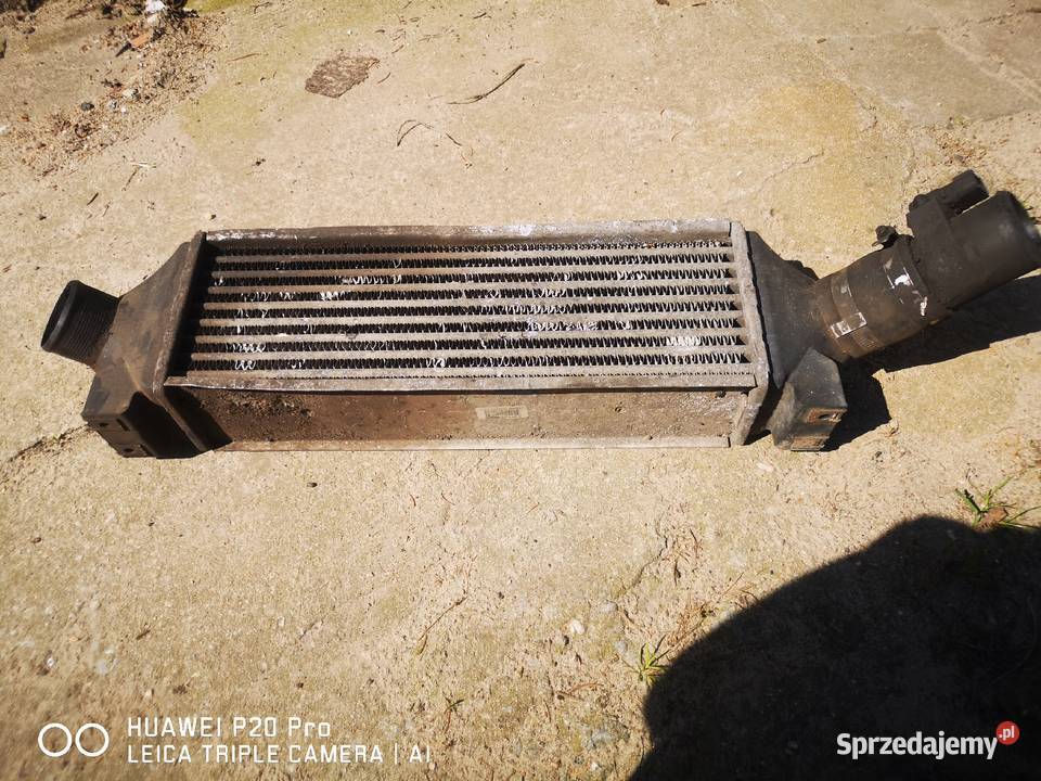 INTERCOOLER Ford TRANSIT VI YC15 9L440 BF dostawcze wielkopolskie Kościan sprzedam