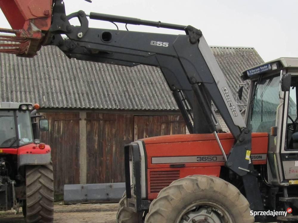 Massey Ferguson 3650 Męczki sprzedam