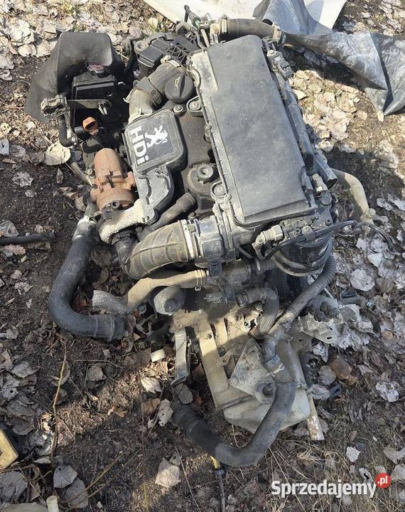 Silnik kompletny Peugeot 206 14 Hdi 8HZ 10FD95 sprzedam