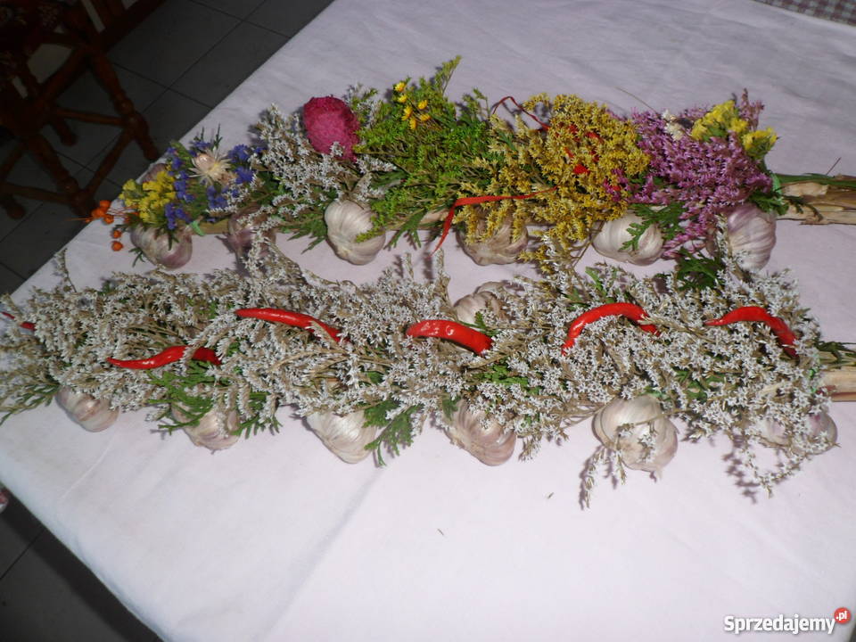 sprzedam warkocze z czosnku małopolskie Słomniki