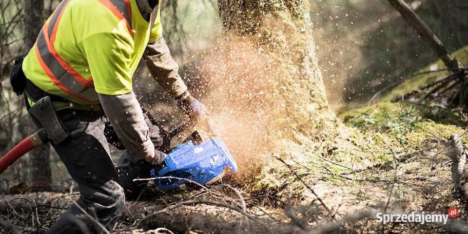 PIŁA SPALINOWA PILARKA ŁAŃCUCHOWA 52 583 MOCNA świętokrzyskie Chmielnik