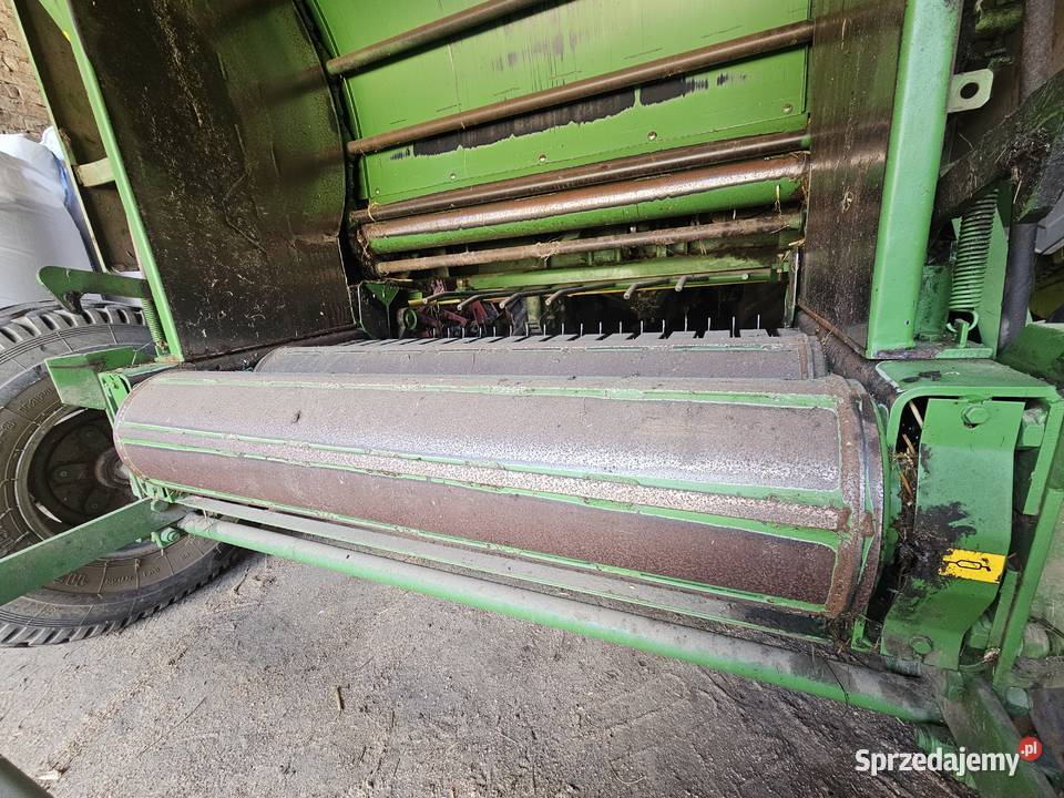 Sipma Farma Sipma Rolujące (belujące) Sokoły sprzedam