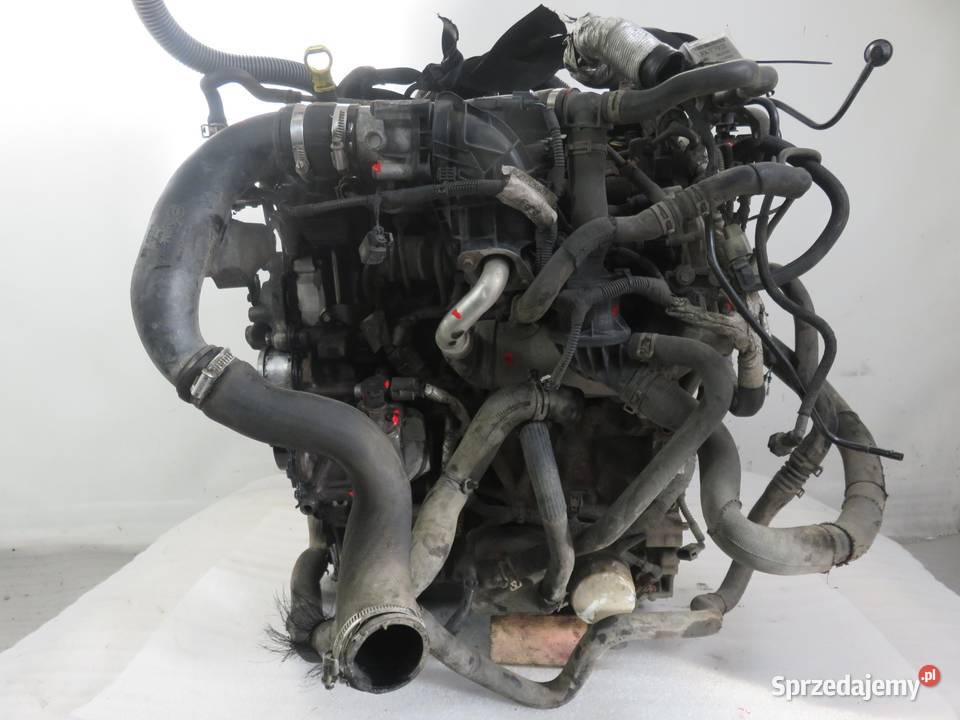 SILNIK FORD TRANSIT CUSTOM 20 ECOBLUE YLF6 EURO