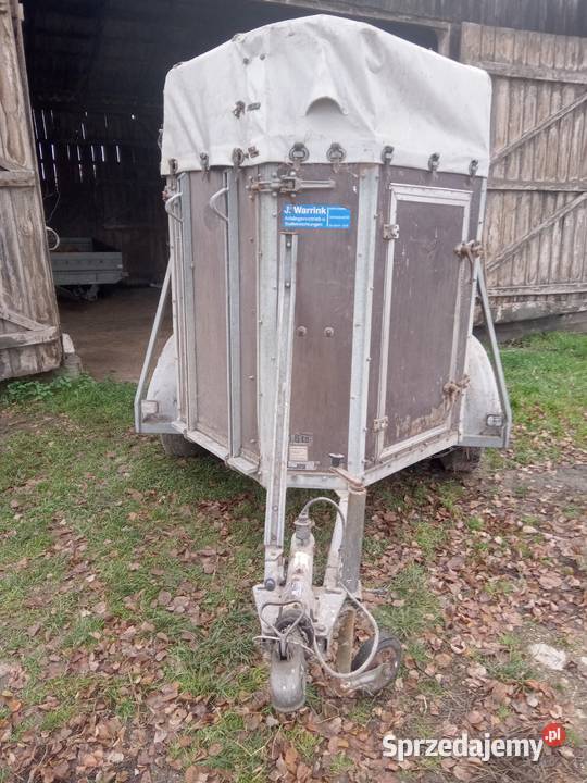 Przyczepka samochodowa Do przewozu koni Motoryzacja