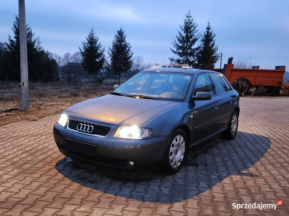 Audi A3 8L 19 TDI 101 2003 5 drzwi Klimatronik Wysokie Mazowieckie