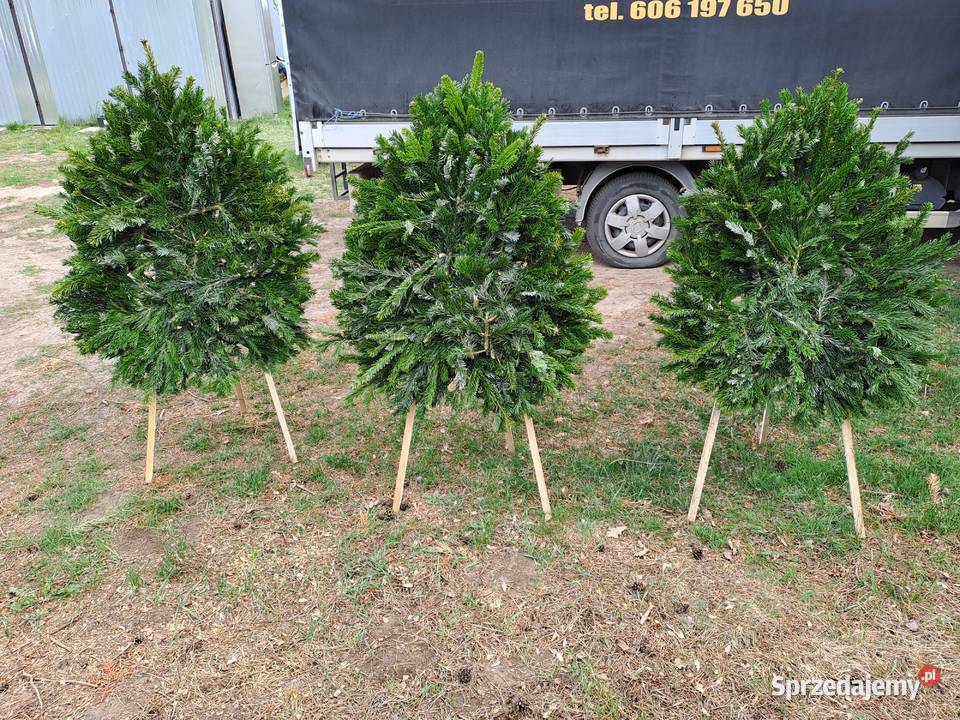 Sztaluga stelaż podkłady pod wieńce pogrzebowe