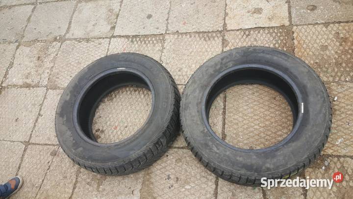 Opony zimowe Dayton 1956515 2 sztuki