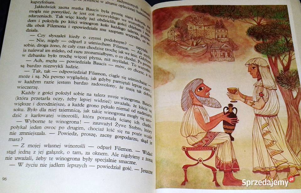 Opowieści z Zaczarowanego Lasu Nathaniel Chełm sprzedam