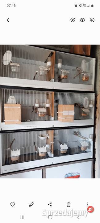 Sprzedam klatki papug Reda
