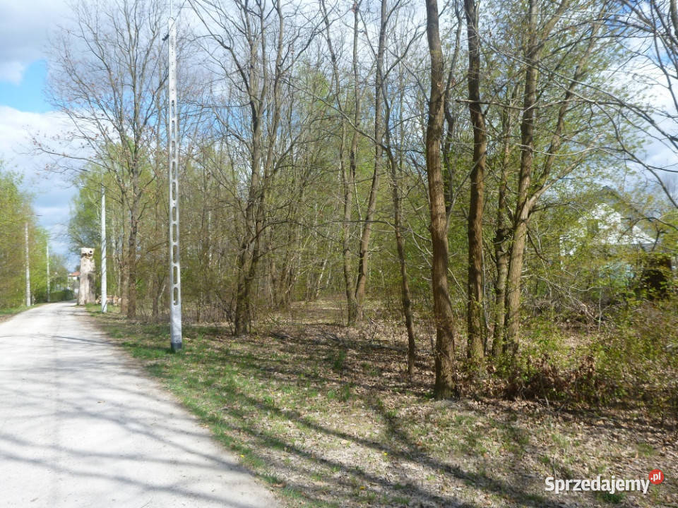 Nowa Wieś 10153 m2 miedzy Pruszkowem i Komorowem mazowieckie