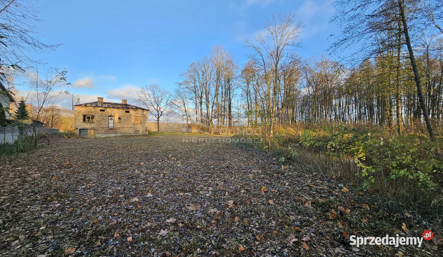 Działka rolnobudowlana z potencjałem w 55zł/m2 Chotyłów